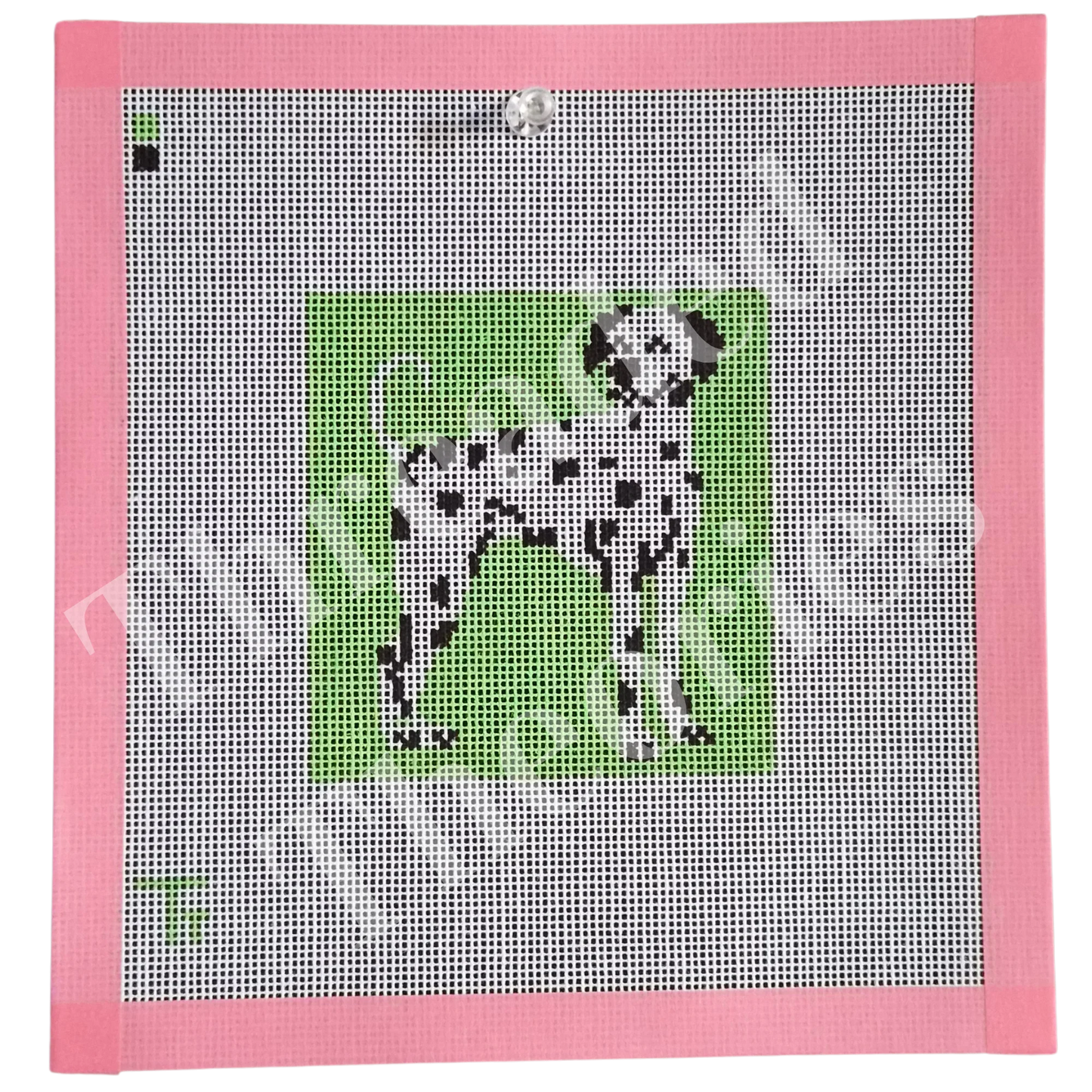 Dalmatian Portrait