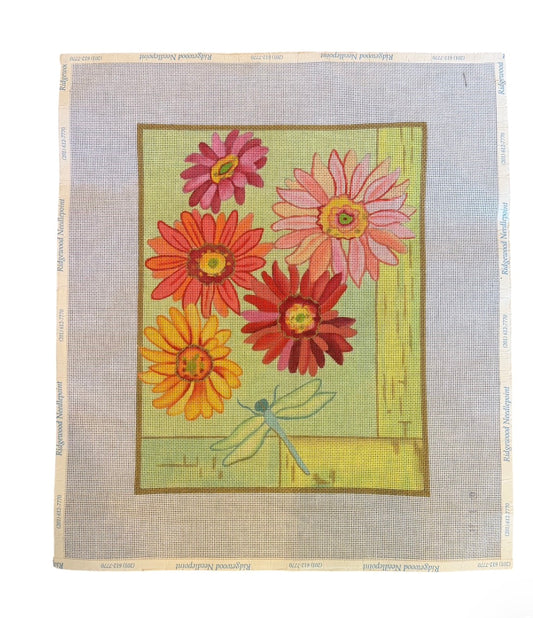 Gerber Daisy
