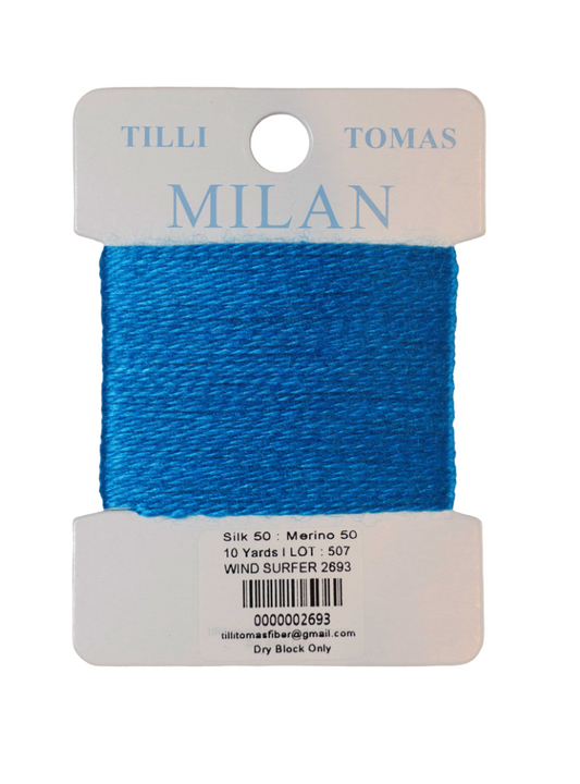Milan Windsurfer