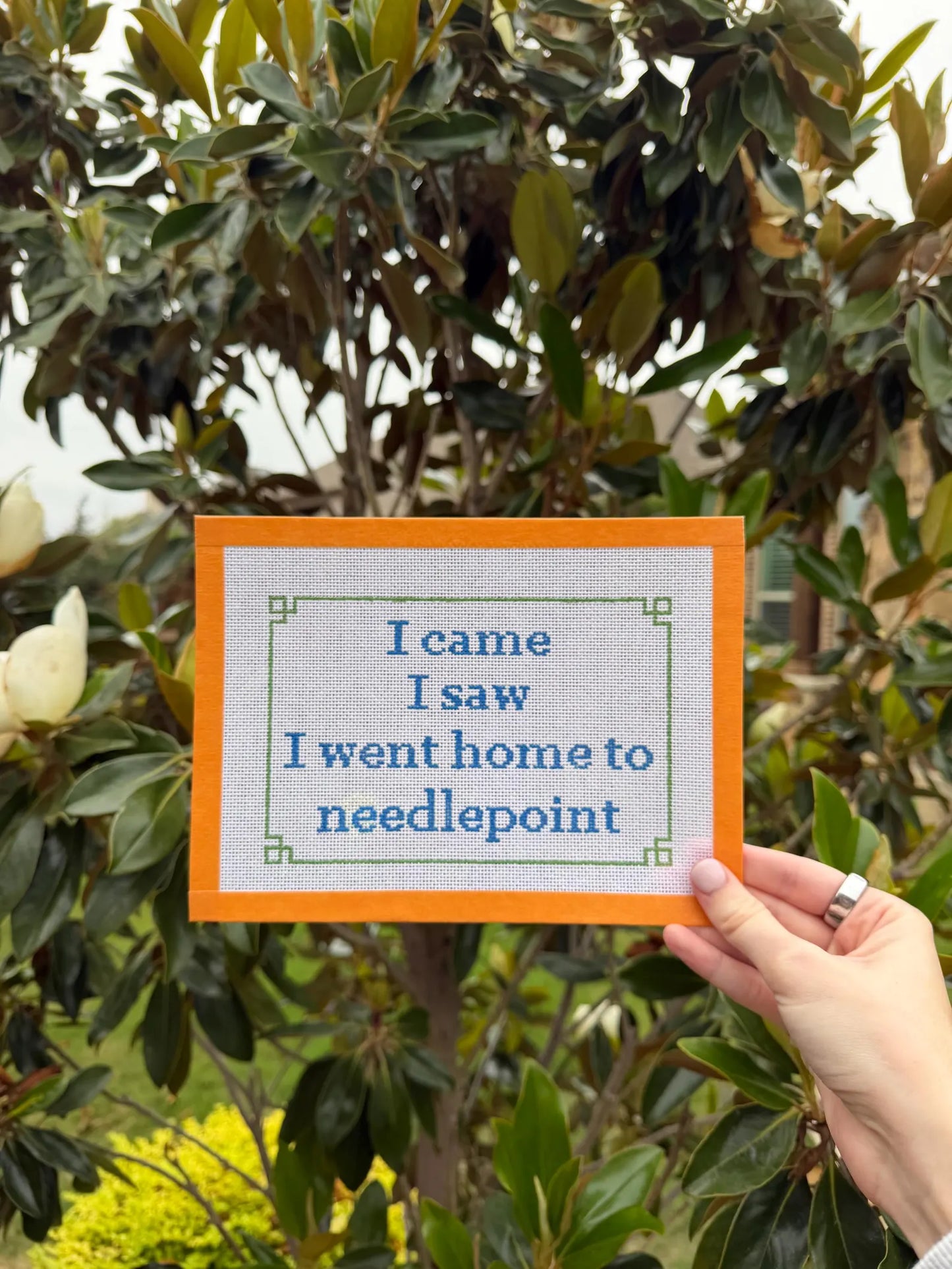 I Came I Saw Canvas